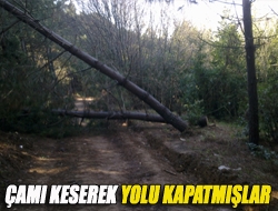 Çamı keserek yolu kapatmışlar