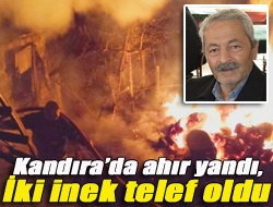 Kandırada ahır yandı, iki inek telef oldu