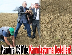 Kandıra OSBde kamulaştırma bedelleri!