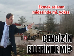 Ekmek Aslan’ın Midesinde Mi, Yoksa Cengiz’in Ellerinde Mi?