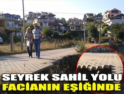 Seyrek sahil yolu facianın eşiğinde