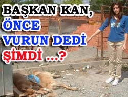 Başkan Kan, önce vurun dedi şimdi …?