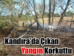 Kandıra’da çıkan Yangın korkuttu