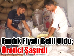 Fındık fiyatı belli oldu; Üretici Şaşırdı