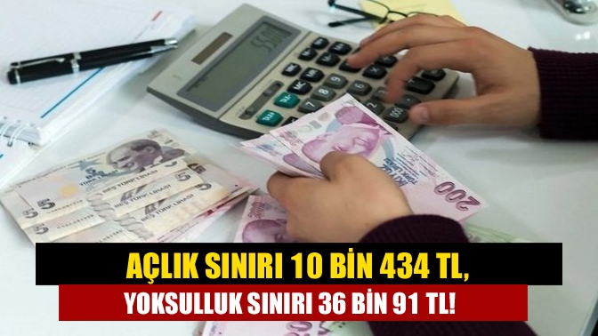 Açlık sınırı 10 bin 434 TL, yoksulluk sınırı 36 bin 91 TL!