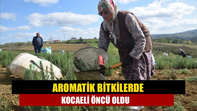 Aromatik bitkilerde Kocaeli öncü oldu