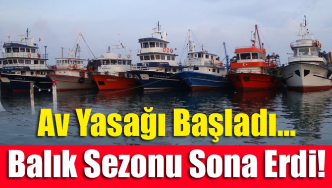 Av yasağı başladı… Balık sezonu sona erdi!