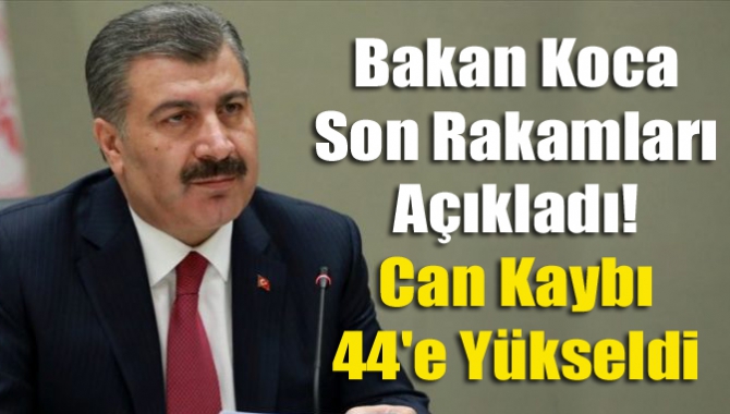 Bakan Koca son rakamları açıkladı! Can kaybı 44'e yükseldi