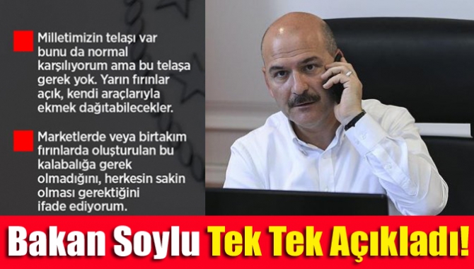 Bakan Soylu tek tek açıkladı!