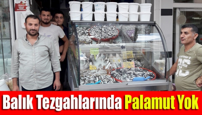 Balık tezgahlarında palamut yok