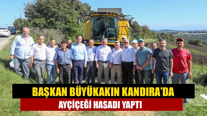 Başkan Büyükakın Kandıra’da ayçiçeği hasadı yaptı