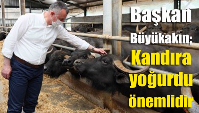 Başkan Büyükakın; Kandıra yoğurdu önemlidir