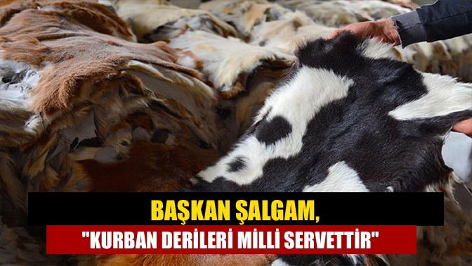 Başkan Şalgam, Kurban derileri milli servettir