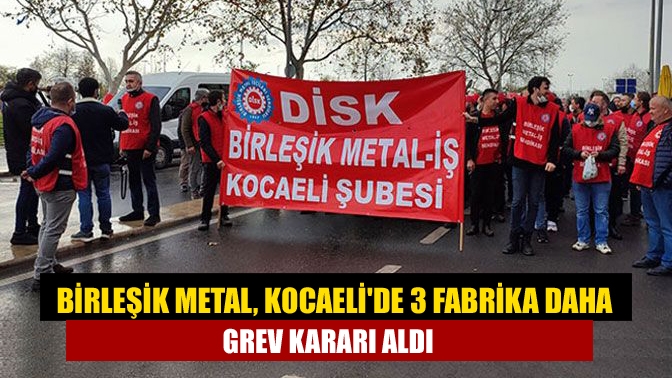 Birleşik Metal, Kocaelide 3 fabrika daha grev kararı aldı