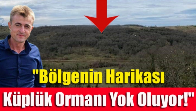 "Bölgenin Harikası Küplük Ormanı Yok Oluyor!"