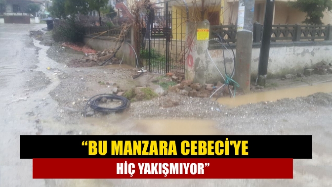 “Bu Manzara Cebeciye Hiç Yakışmıyor”