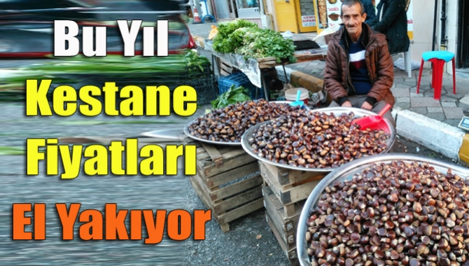 Bu yıl kestane fiyatları el yakıyor