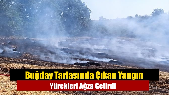 Buğday Tarlasında Çıkan Yangın Yürekleri Ağza Getirdi