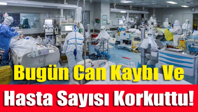 Bugün Can kaybı ve yeni hasta sayısı korkuttu!