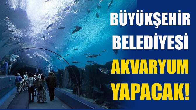 Büyükşehir Belediyesi akvaryum yapacak!