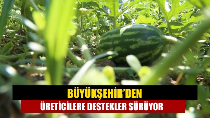 Büyükşehir’den üreticilere destekler sürüyor