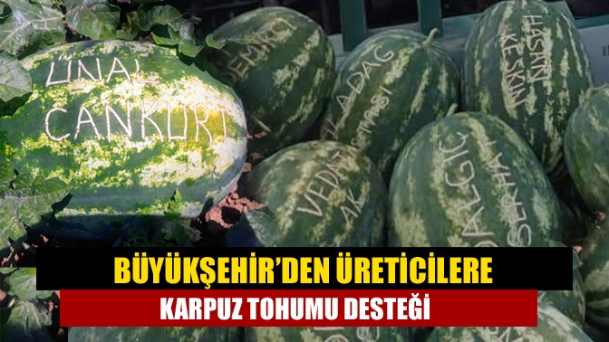 Büyükşehir’den üreticilere karpuz tohumu desteği