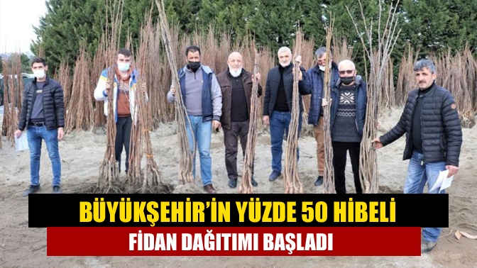 Büyükşehir’in yüzde 50 hibeli fidan dağıtımı başladı