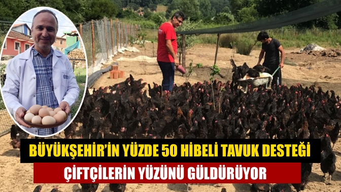 Büyükşehir’in yüzde 50 hibeli tavuk desteği çiftçilerin yüzünü güldürüyor