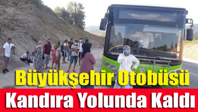 Büyükşehir otobüsü Kandıra Yolunda Kaldı