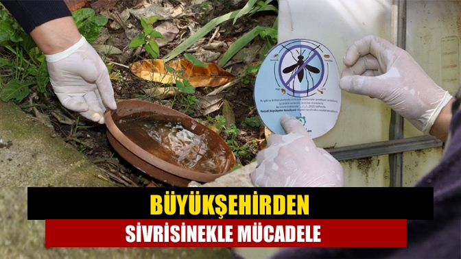 Büyükşehirden sivrisinekle mücadele