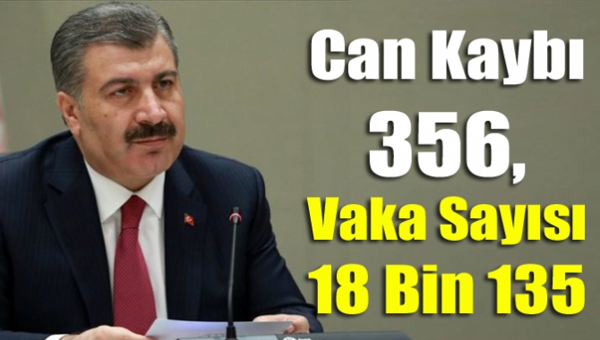 Can kaybı 356, vaka sayısı 18 bin 135