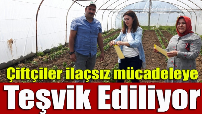 Çiftçiler ilaçsız mücadeleye teşvik ediliyor