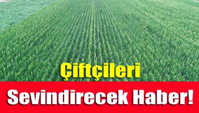 Başvurular başladı! Alım garantisi var!