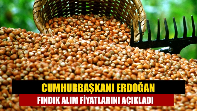 Cumhurbaşkanı Erdoğan fındık alım fiyatlarını açıkladı