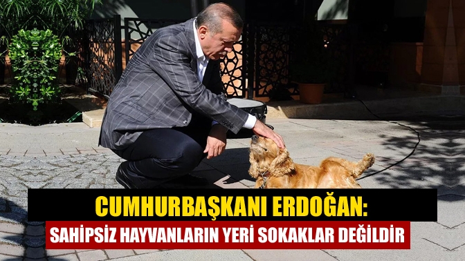 Cumhurbaşkanı Erdoğan: Sahipsiz hayvanların yeri sokaklar değildir