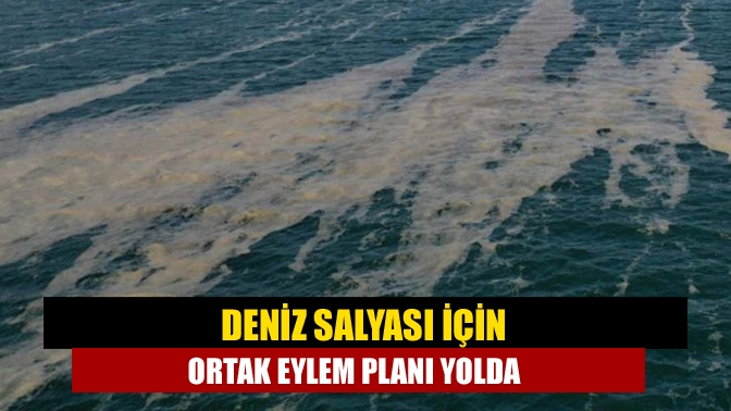 Deniz Salyası için ortak eylem planı yolda