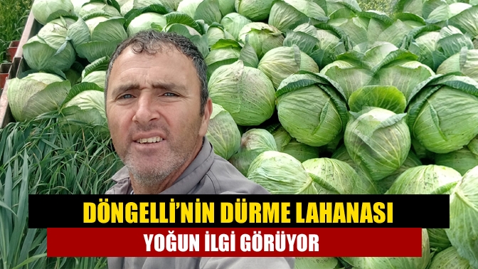 Döngelli’nin dürme lahanası yoğun ilgi görüyor