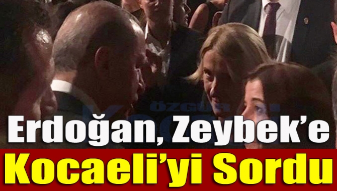 Erdoğan, Zeybek’e Kocaeli’yi sordu