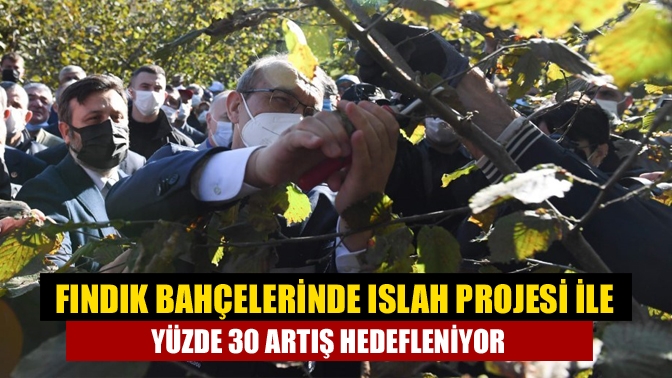 Fındık Bahçelerinde Islah Projesi ile yüzde 30 artış hedefleniyor