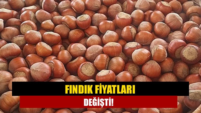 Fındık fiyatları değişti!