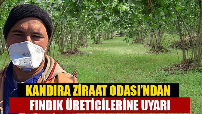 Fındık üreticilerine uyarı!