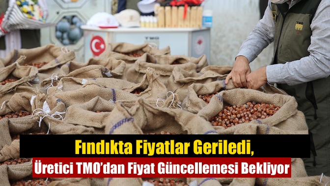Fındıkta Fiyatlar Geriledi, Üretici TMO’dan Fiyat Güncellemesi Bekliyor