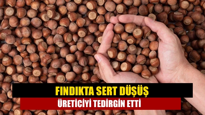 Fındıkta Sert Düşüş Üreticiyi Tedirgin Etti