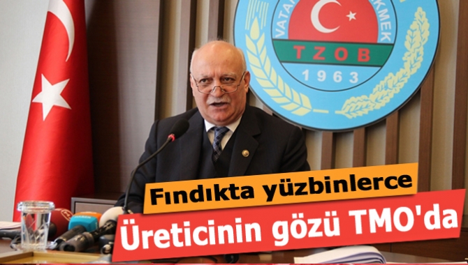 Fındıkta yüzbinlerce üreticinin gözü TMO'da