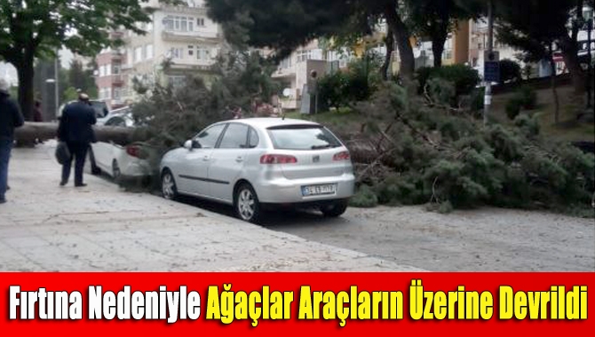 Fırtına Nedeniyle Ağaçlar Araçların Üzerine Devrildi