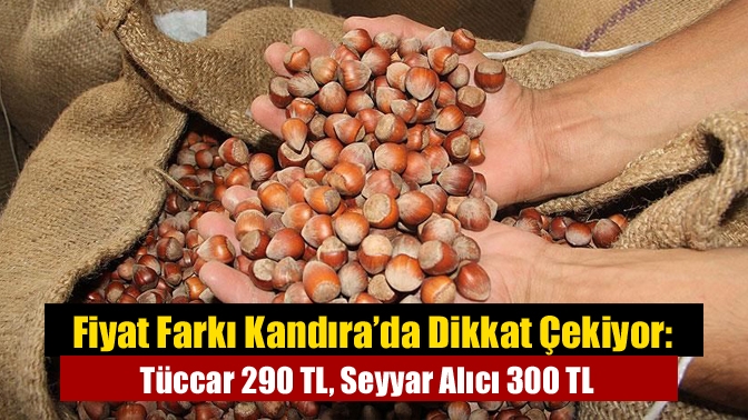 Fiyat Farkı Kandıra’da Dikkat Çekiyor: Tüccar 290 TL, Seyyar Alıcı 300 TL