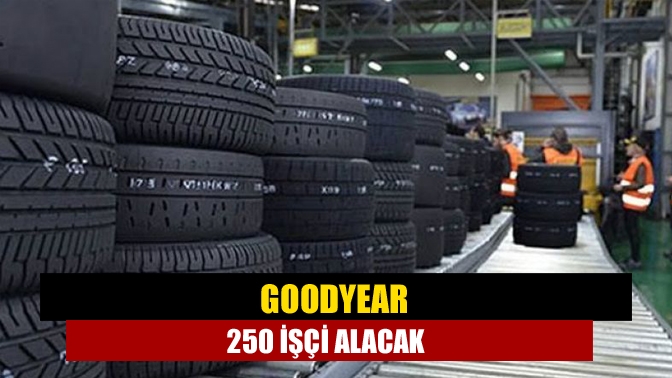 Goodyear 250 işçi alacak