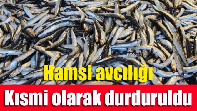 Hamsi avcılığı kısmi olarak durduruldu