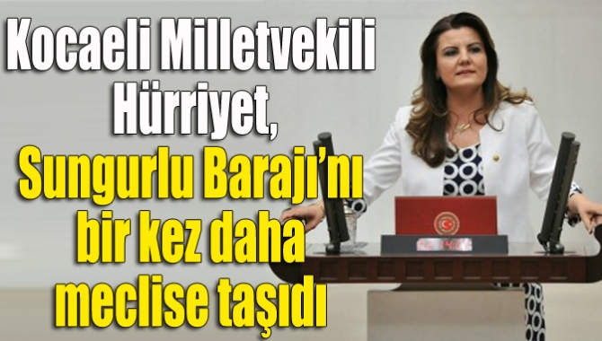 Hürriyet, Sungurlu Barajı’nı bir kez daha meclise taşıdı