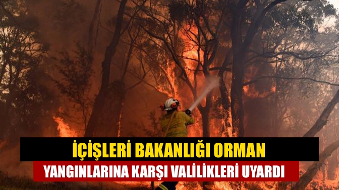 İçişleri Bakanlığı orman yangınlarına karşı valilikleri uyardı